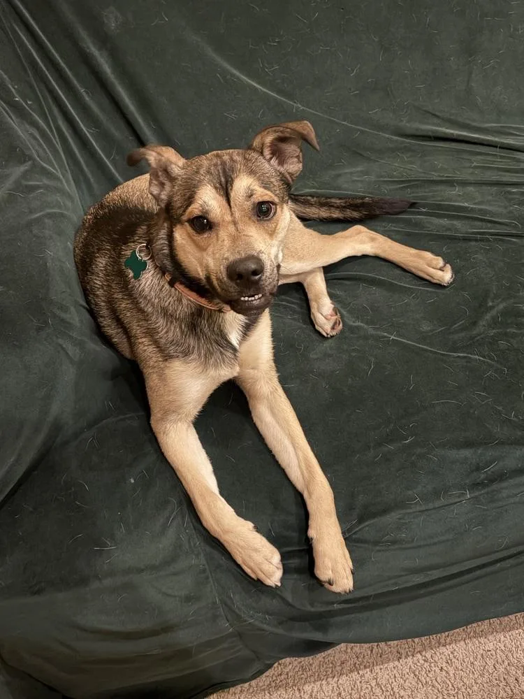 Kristoff thumbnail 3