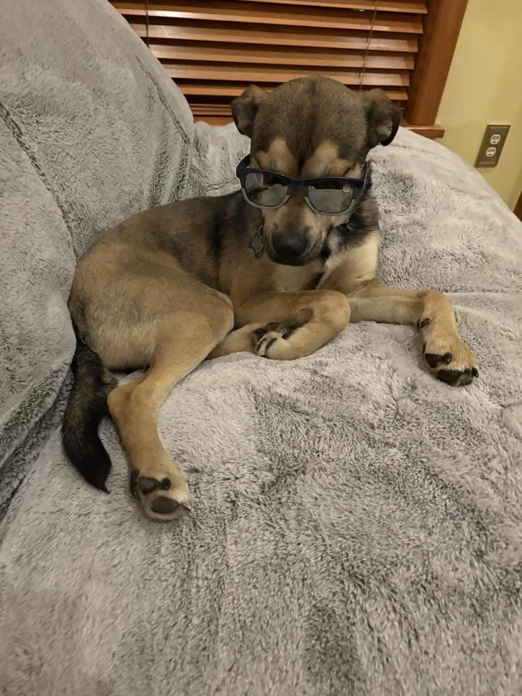 Kristoff thumbnail 4