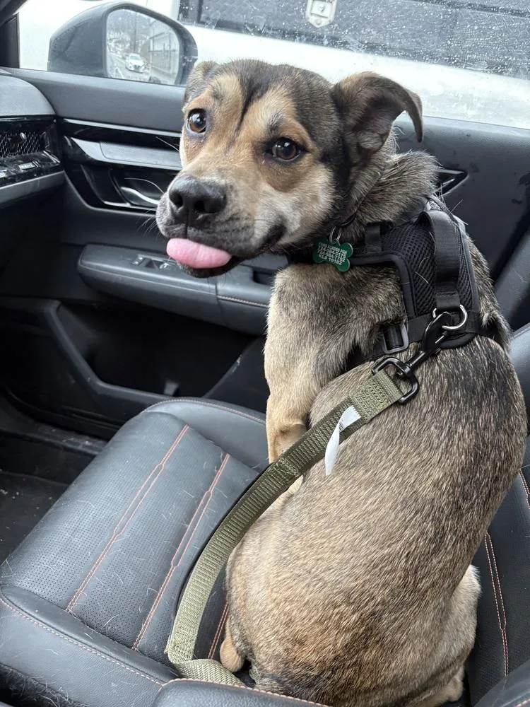 Kristoff thumbnail 6