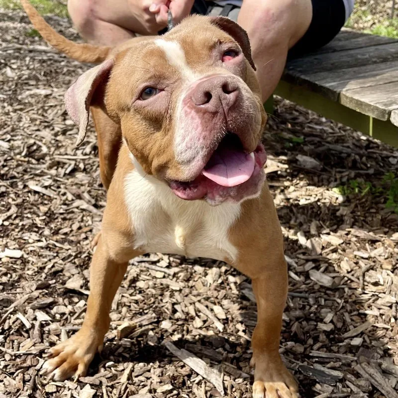 Wrangler thumbnail 2