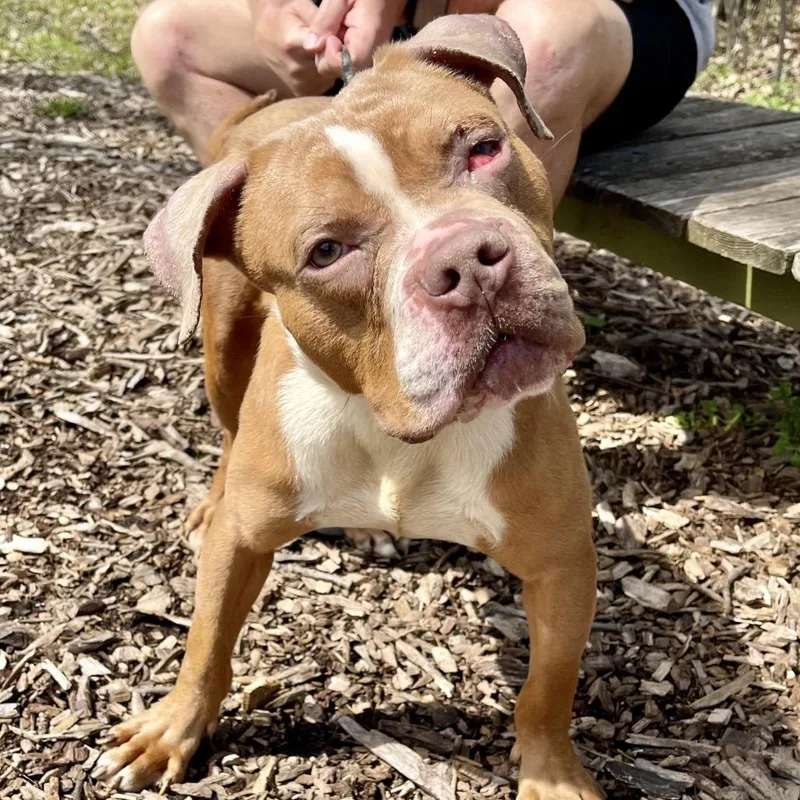 Wrangler thumbnail 5