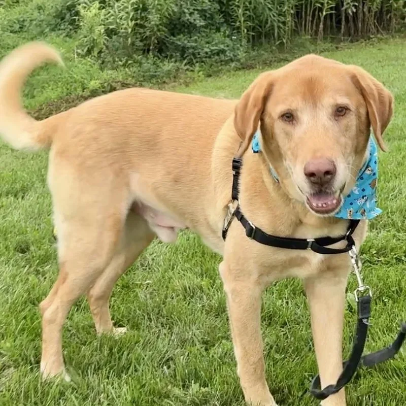 Duke