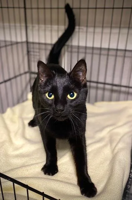 Marnie W Nelly thumbnail 2