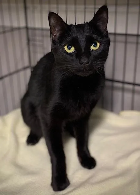 Marnie W Nelly thumbnail 3