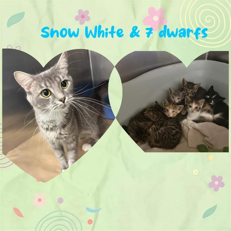 Snow White thumbnail 3