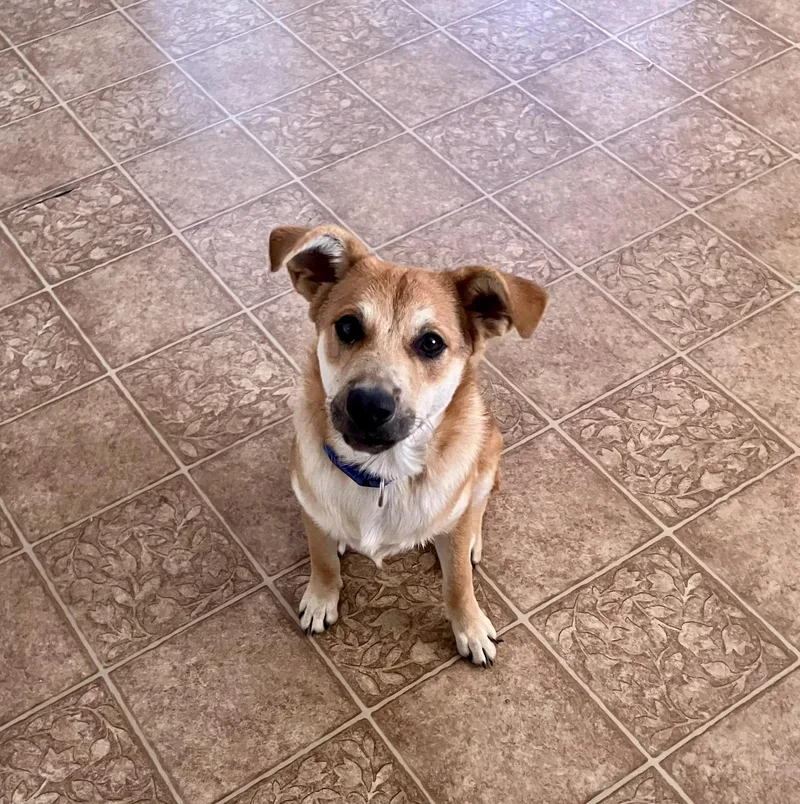 Max