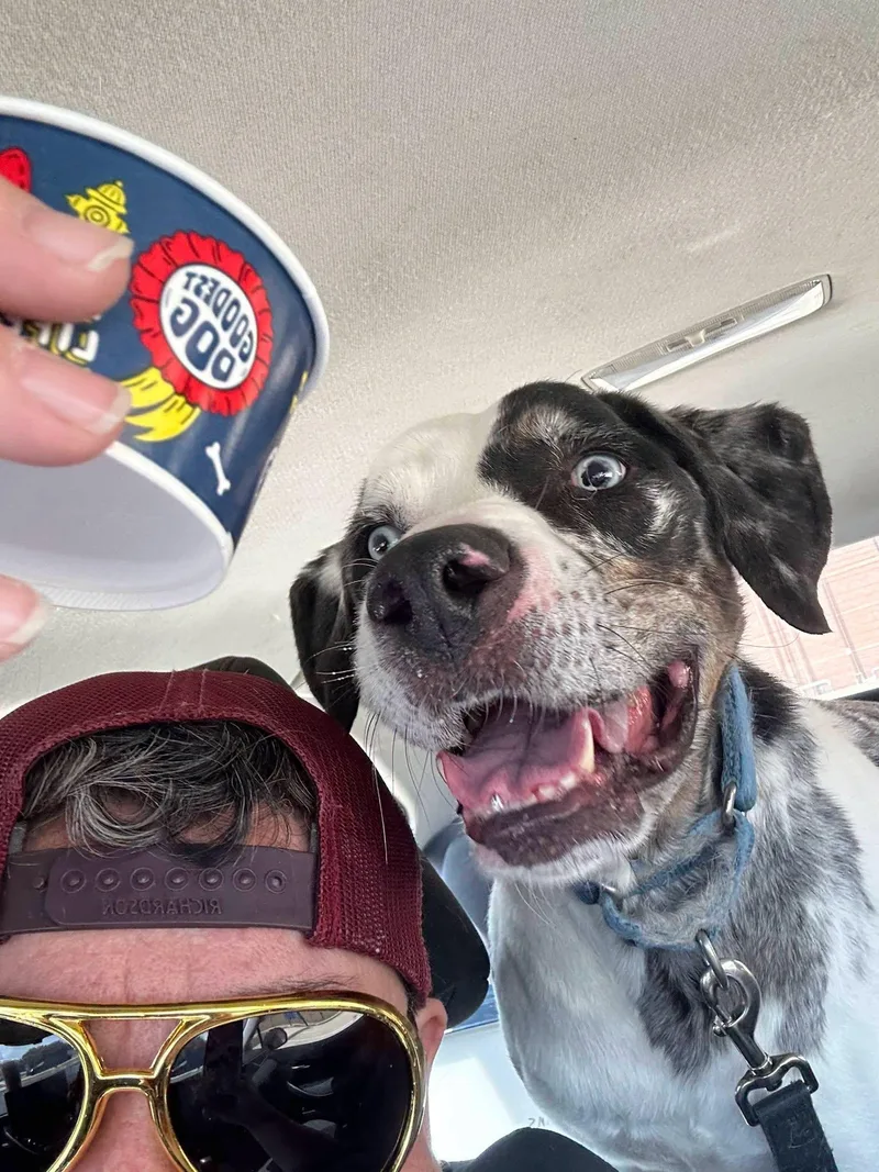 Ernie thumbnail 3