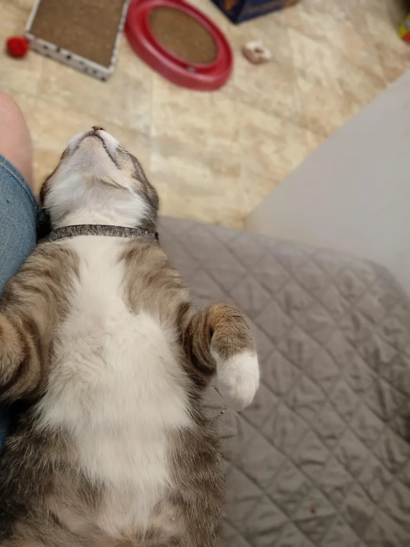 Kenny thumbnail 3