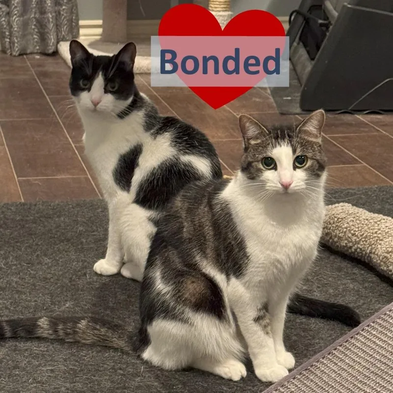 Poquita & Lali thumbnail 3