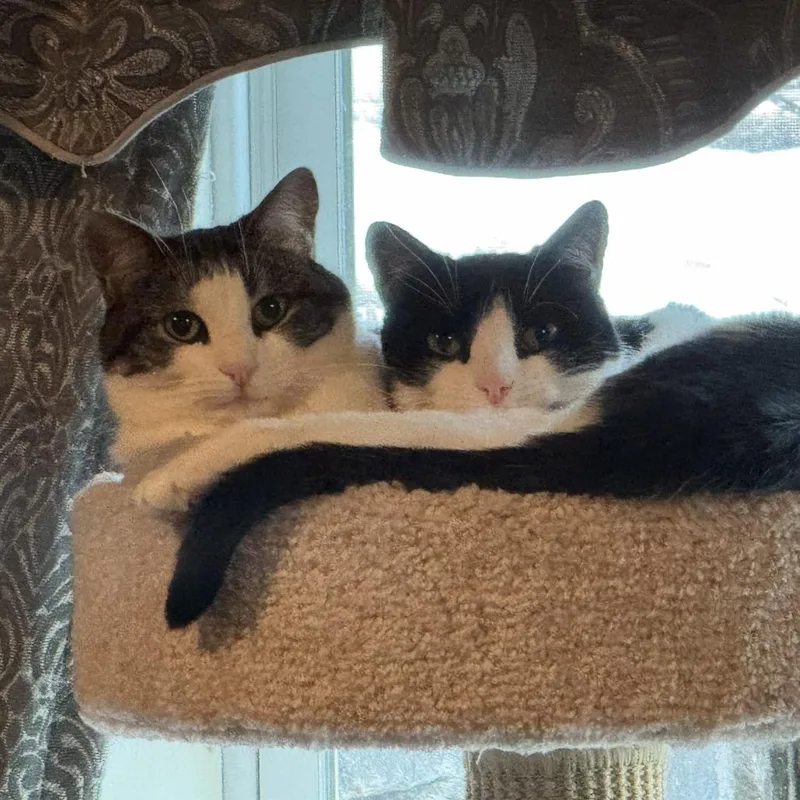 Poquita & Lali thumbnail 4