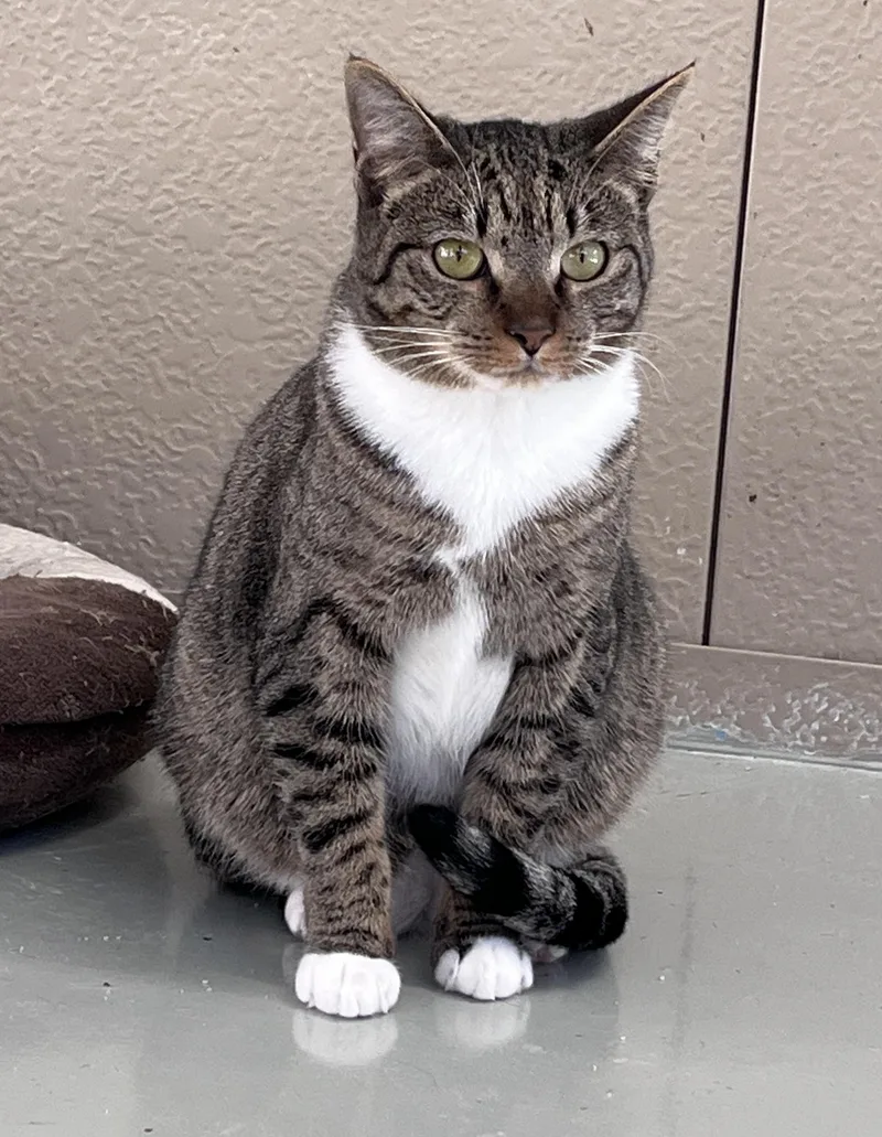 O'malley thumbnail 2