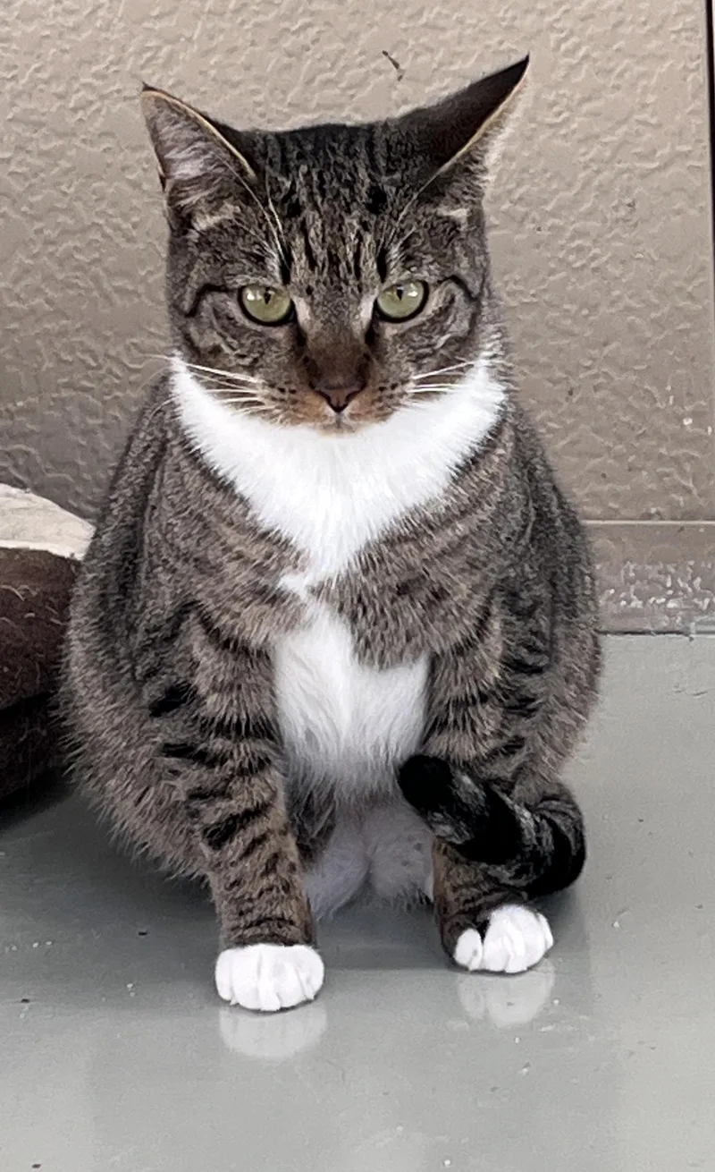 O'malley thumbnail 3