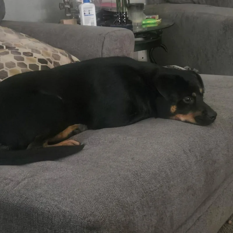 Rusty Mc thumbnail 2