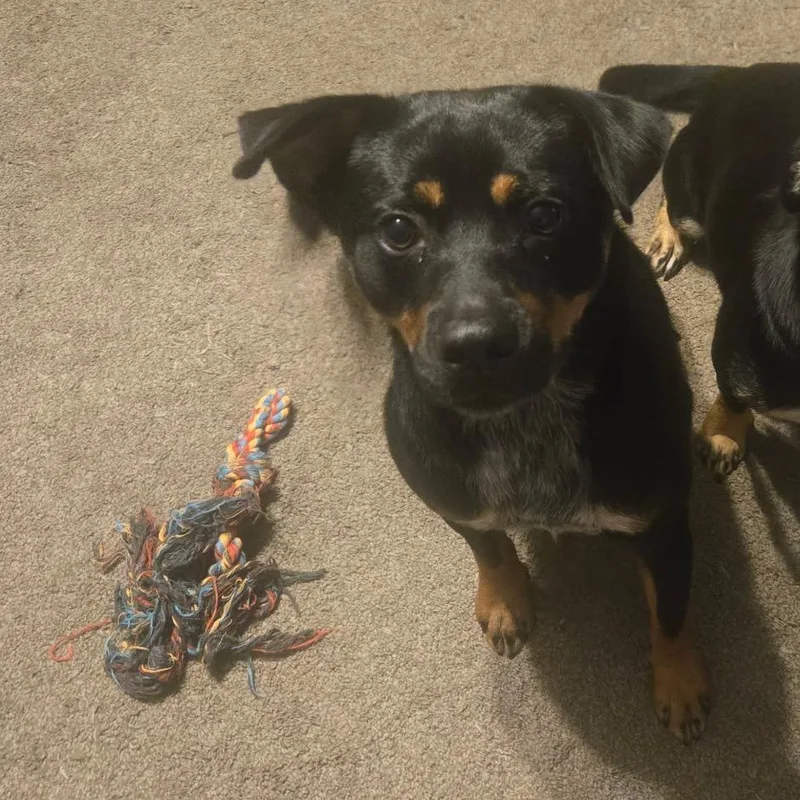 Rusty Mc thumbnail 5