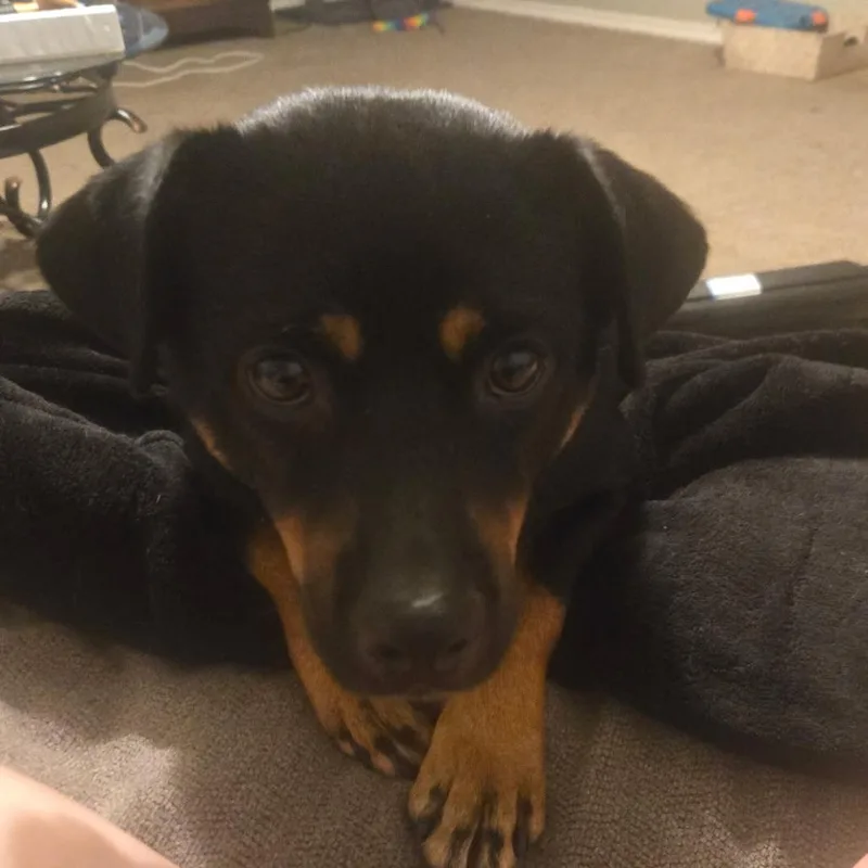 Rusty Mc thumbnail 6