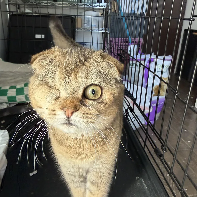 Murphy And Reggie thumbnail 2