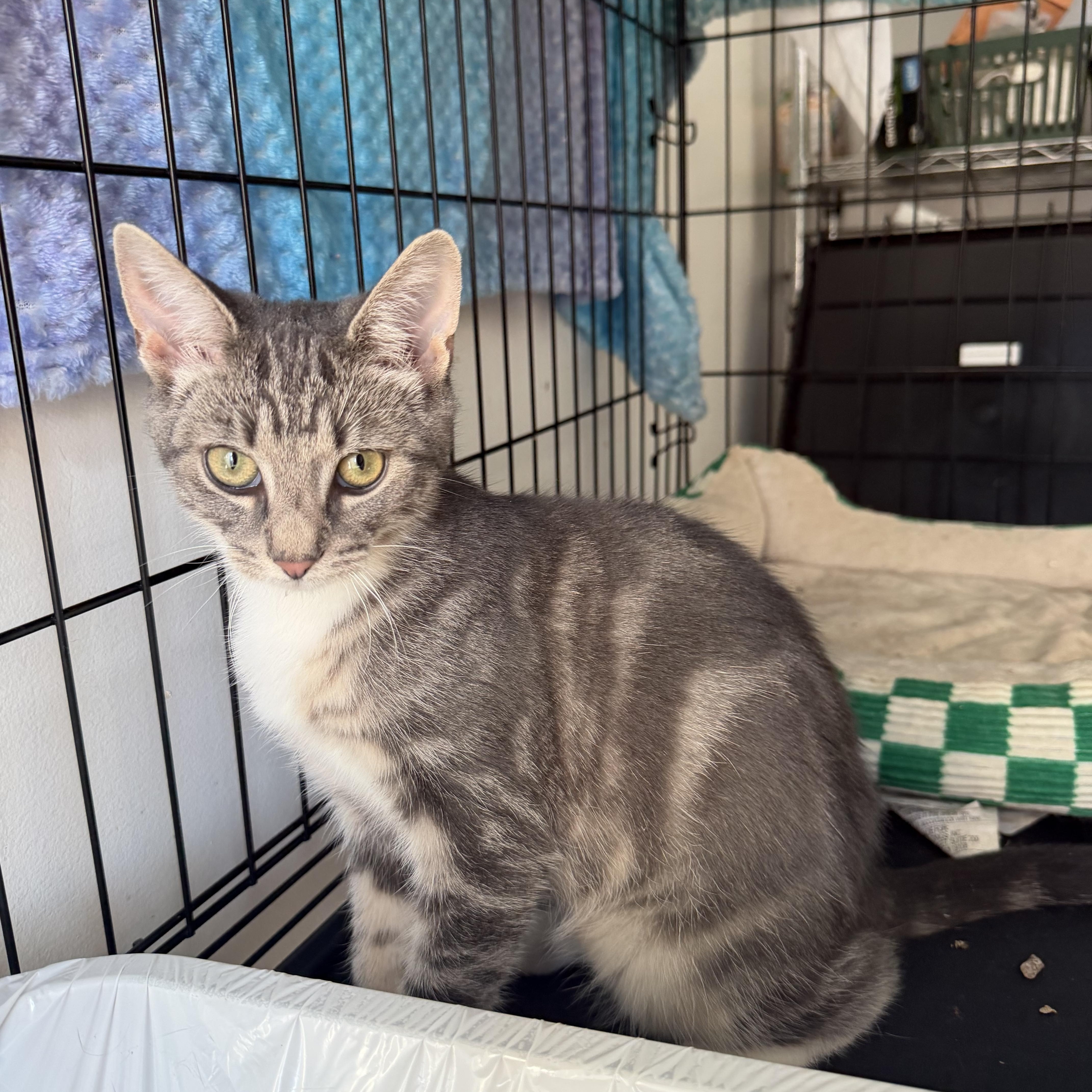 Murphy And Reggie thumbnail 3