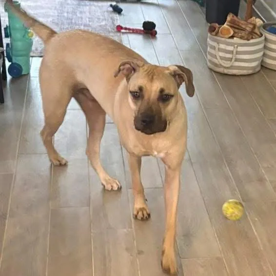 Charlie Bean thumbnail 2