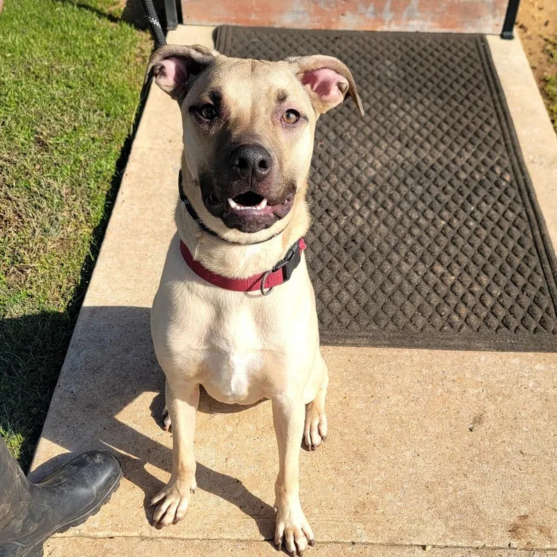 Charlie Bean thumbnail 6