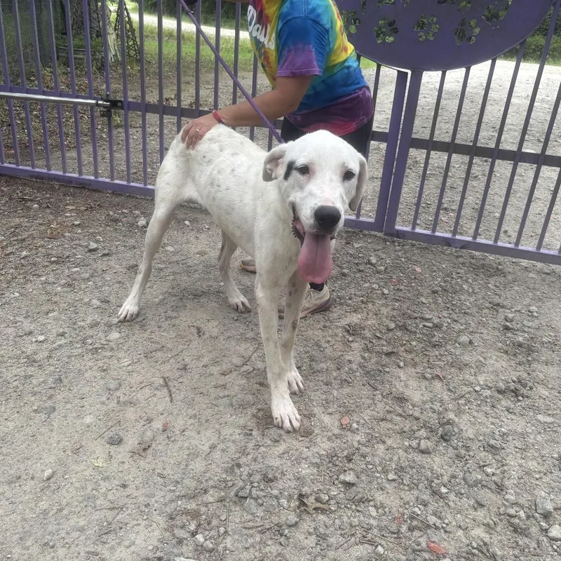 Skittles thumbnail 2