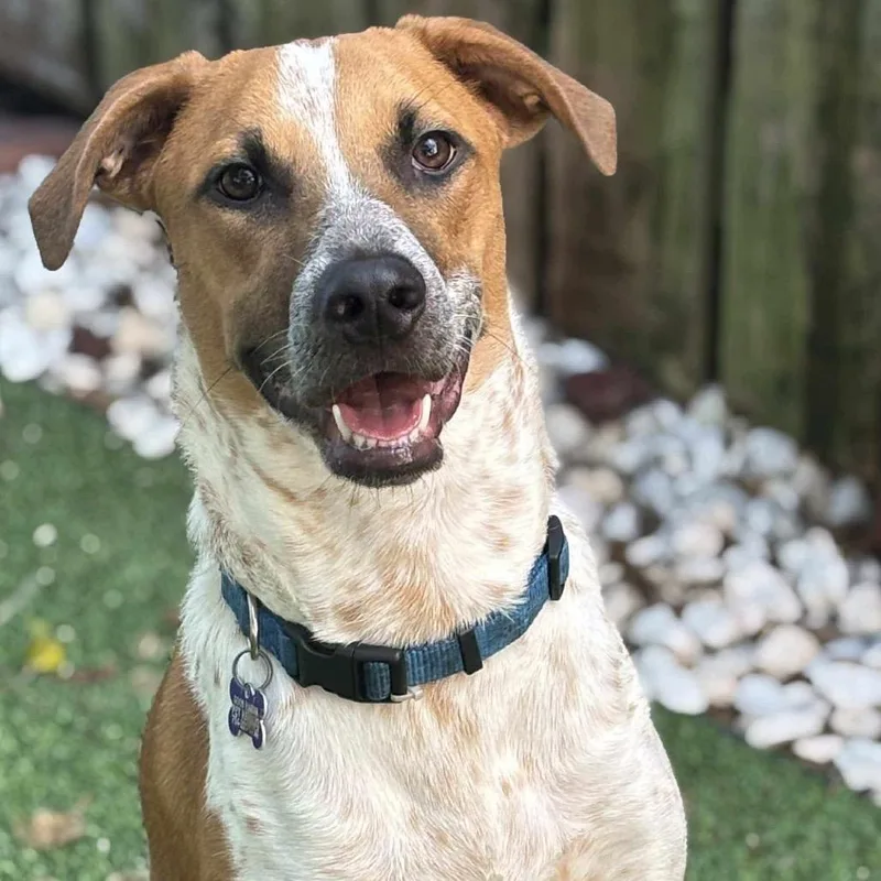 Kramer Rico thumbnail 3