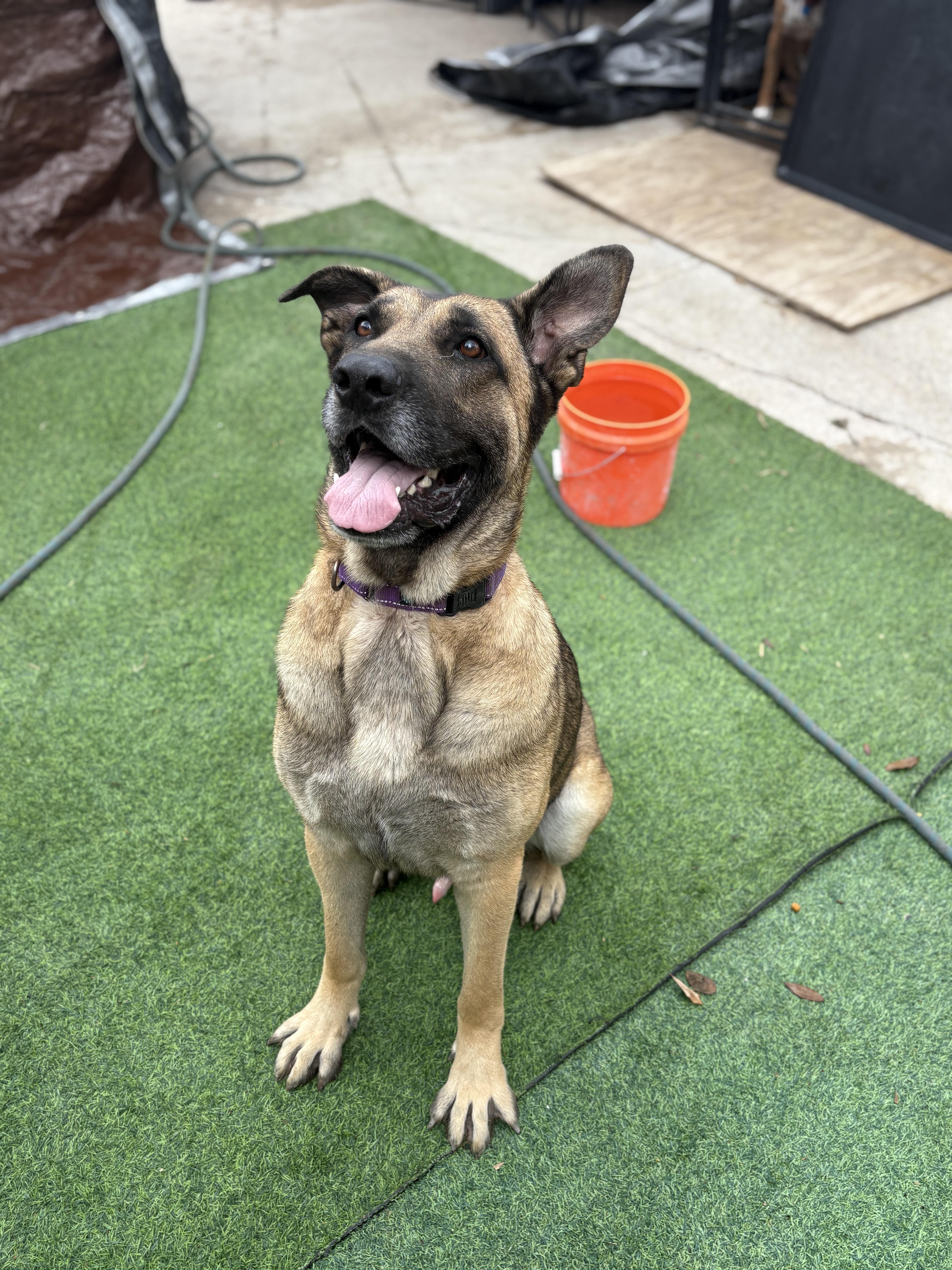 Big Boy  A.k.a. thumbnail 4