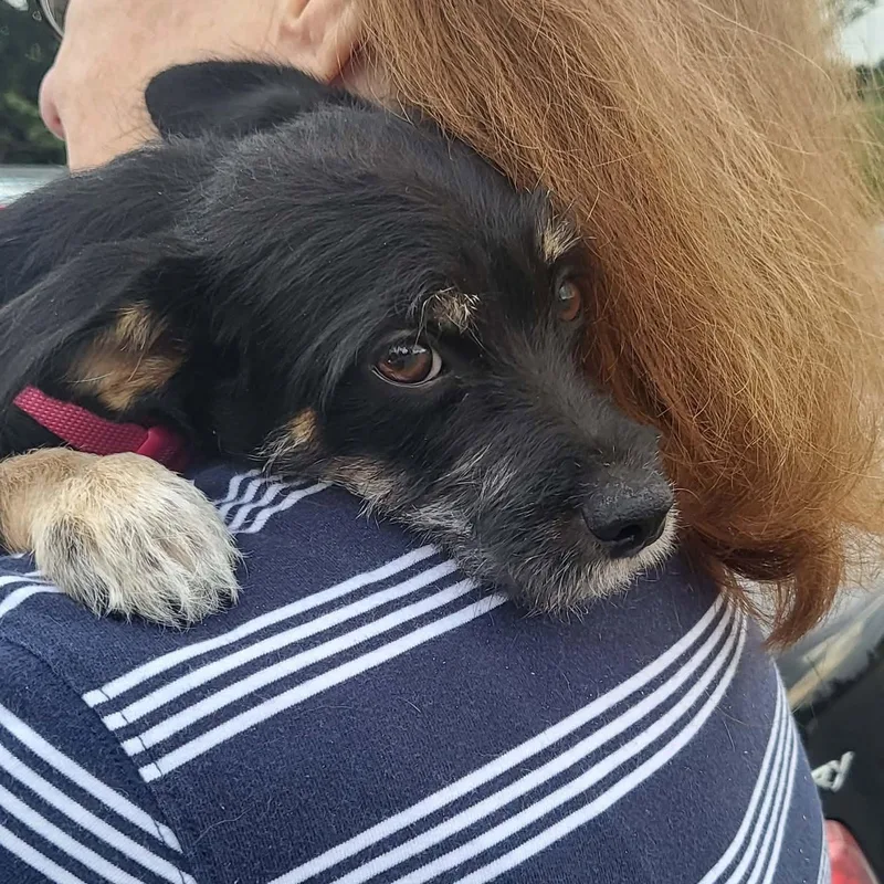 Nina