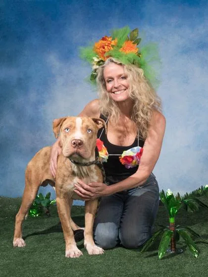 An adult large-sized male Pit Bull Terrier dog named Kain for adoption in Atlanta, GA