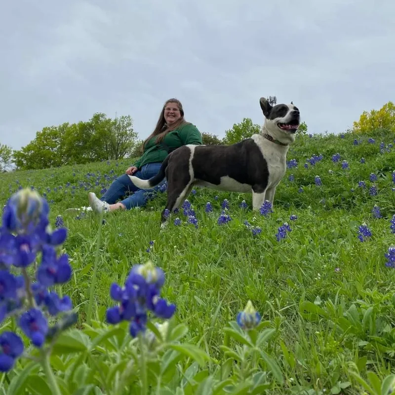 Bluebelle thumbnail 3