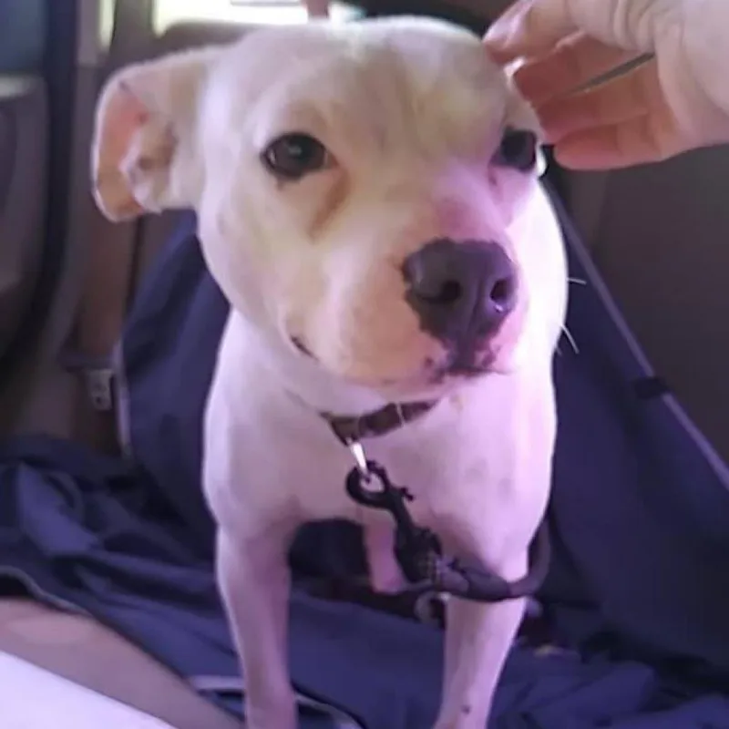 Lexi thumbnail 3