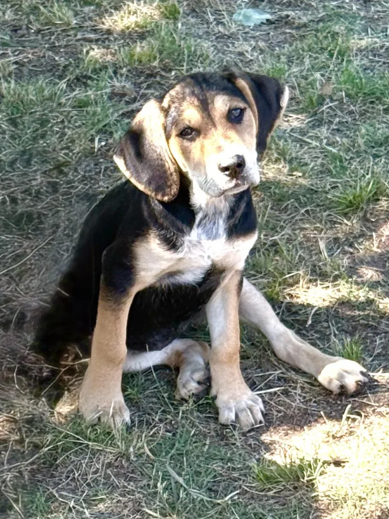 Nala thumbnail 3