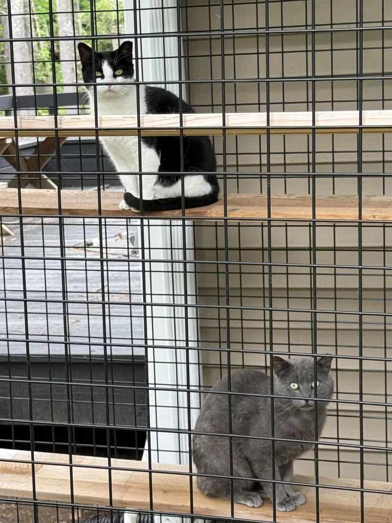 Karl thumbnail 2