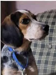 Aj