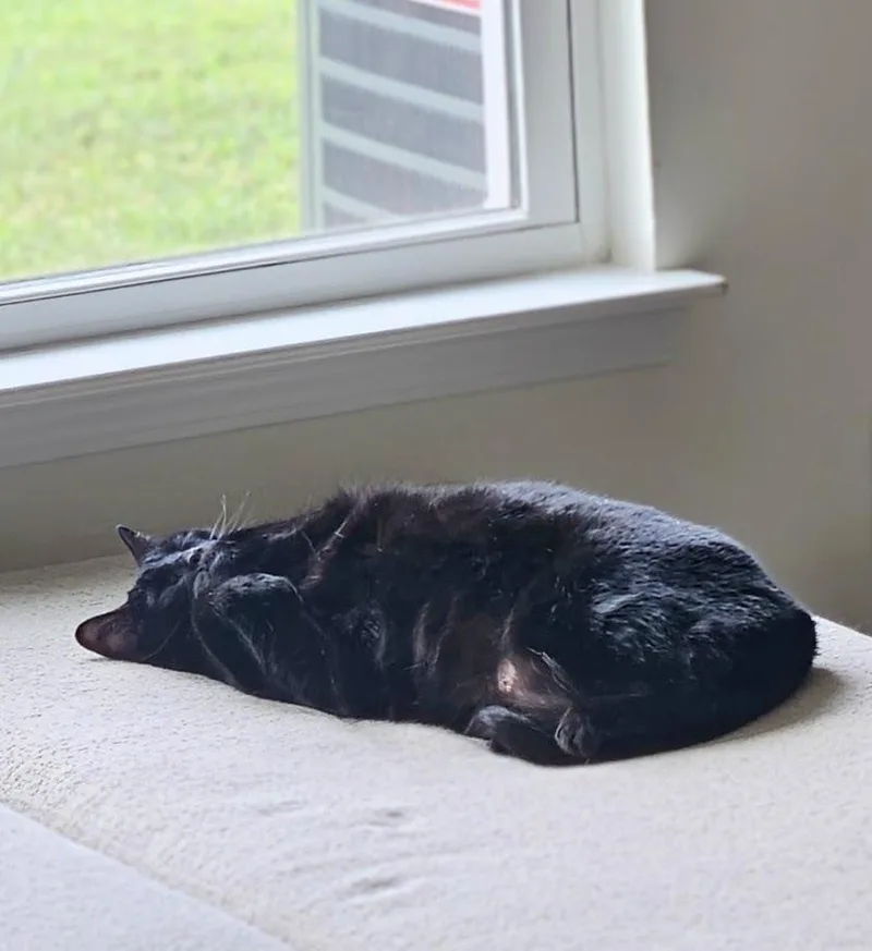 Bean thumbnail 3