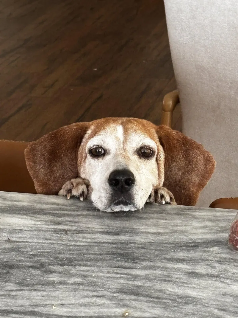Mabel Joy thumbnail 3