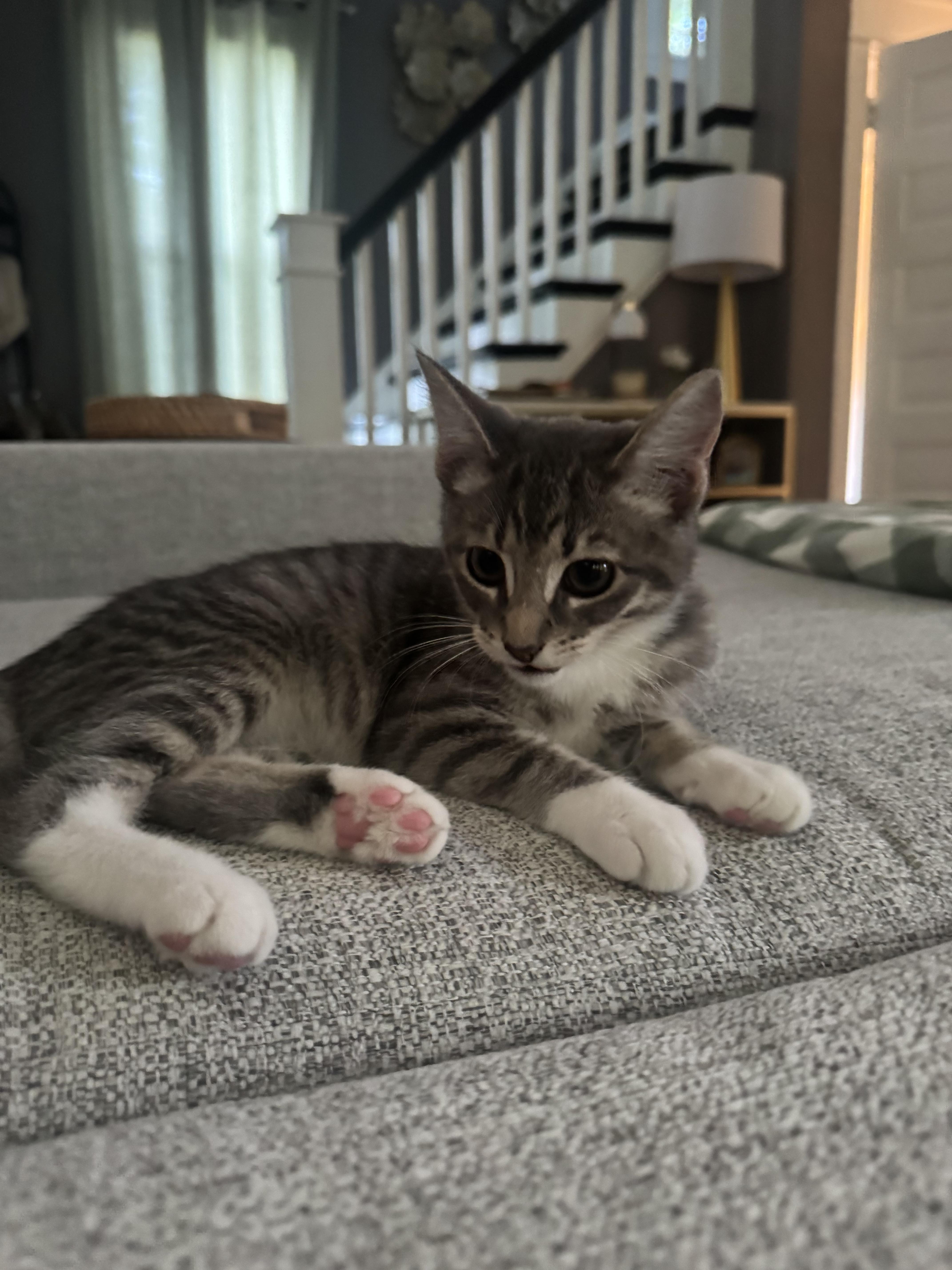 Rosie thumbnail 3