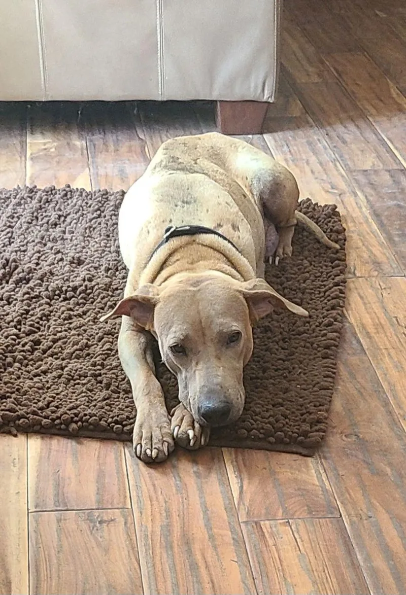 Binx Mama Sato thumbnail 2