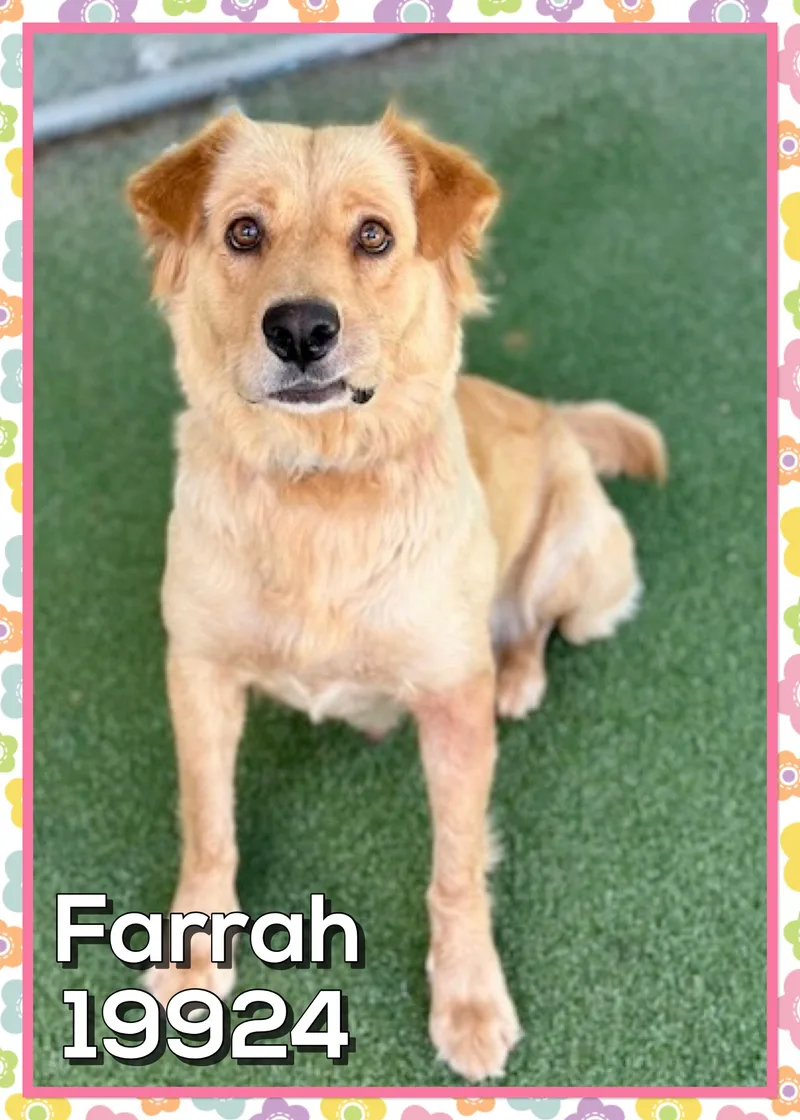 Farrah thumbnail 3