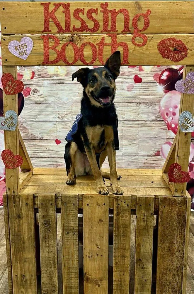 Chris Stapleton thumbnail 2