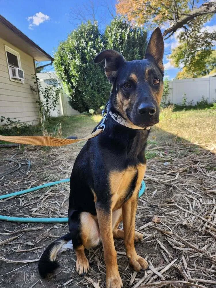 Chris Stapleton thumbnail 3