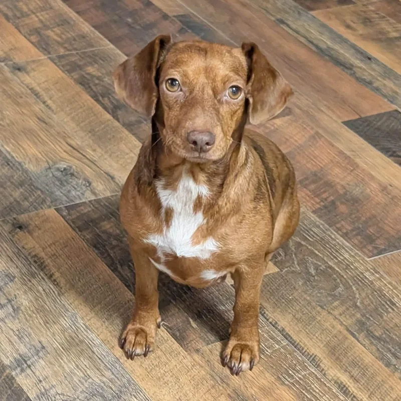 Winnie