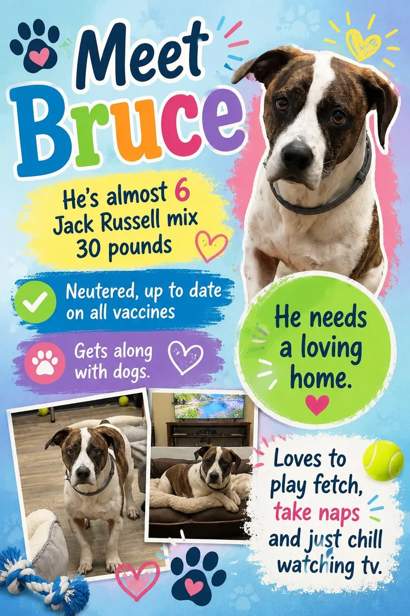 Bruce thumbnail 2