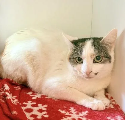 Frankie Mae thumbnail 2