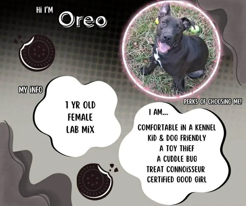 Oreo