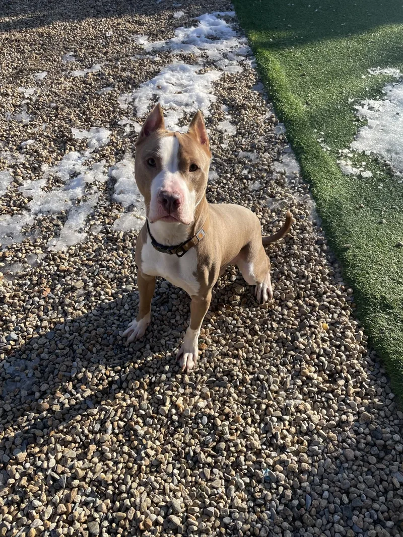 Hamilton thumbnail 2