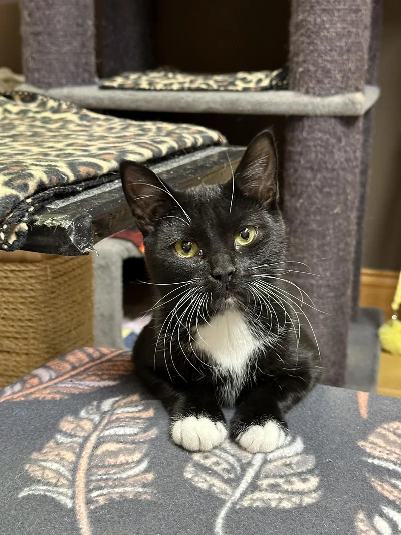 Bernadette thumbnail 2