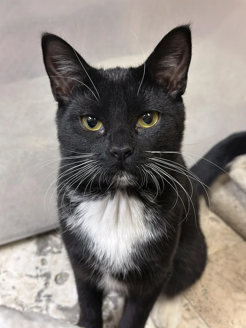 Bernadette thumbnail 3