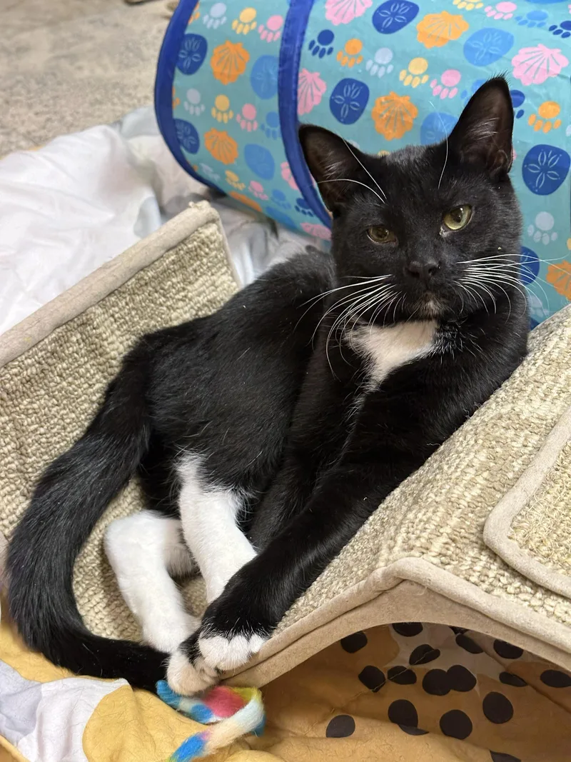 Bernadette thumbnail 4