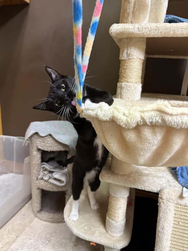 Bernadette thumbnail 5