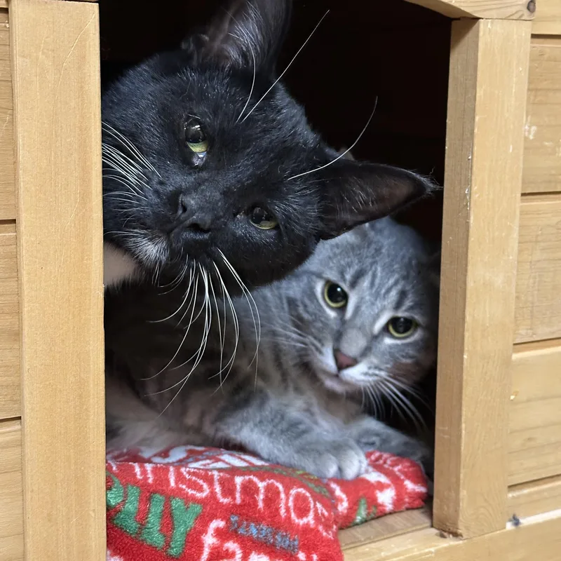 Bernadette thumbnail 6